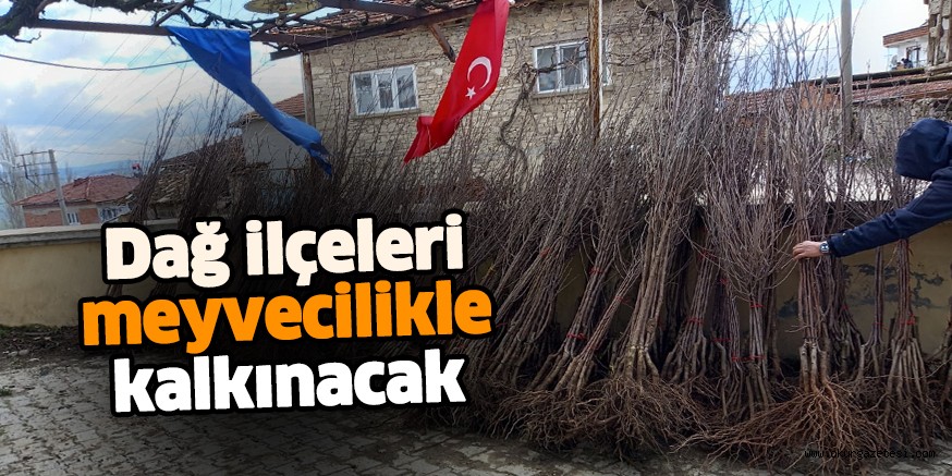 Dağ ilçeleri meyvecilikle kalkınacak