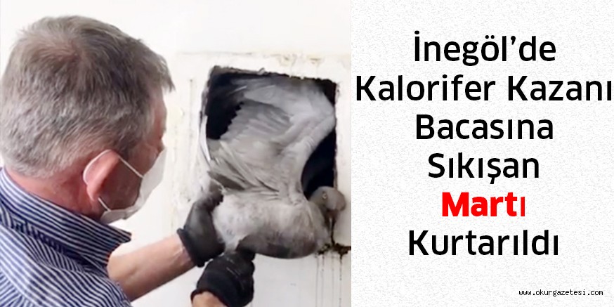 İnegöl’de kalorifer kazanı bacasına sıkışan martı kurtarıldı