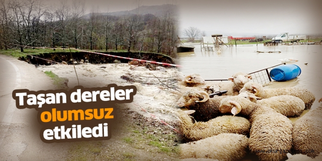 Taşan dereler olumsuz etkiledi