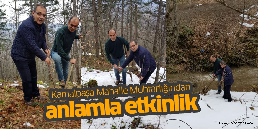 Yabani hayvanlar için ormanlık alana meyve ağacı fidanı diktiler