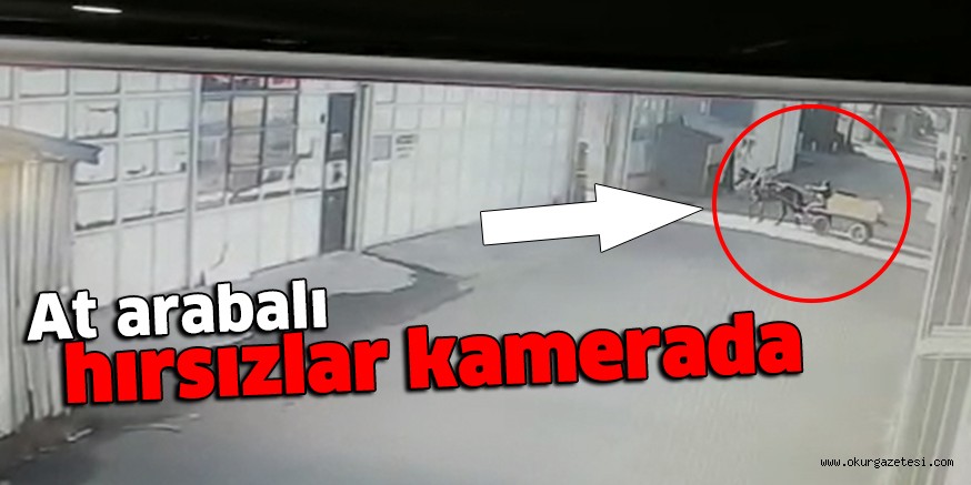 At arabalı hırsızlar kamerada