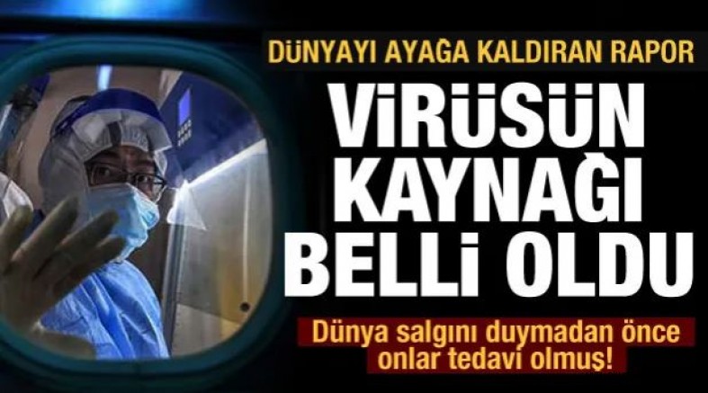 Dünyayı ayağa kaldıran rapor: Virüsün kaynağı belli oldu!