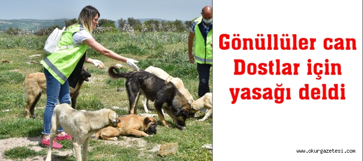 Gönüllüler can dostlar için yasağı deldi