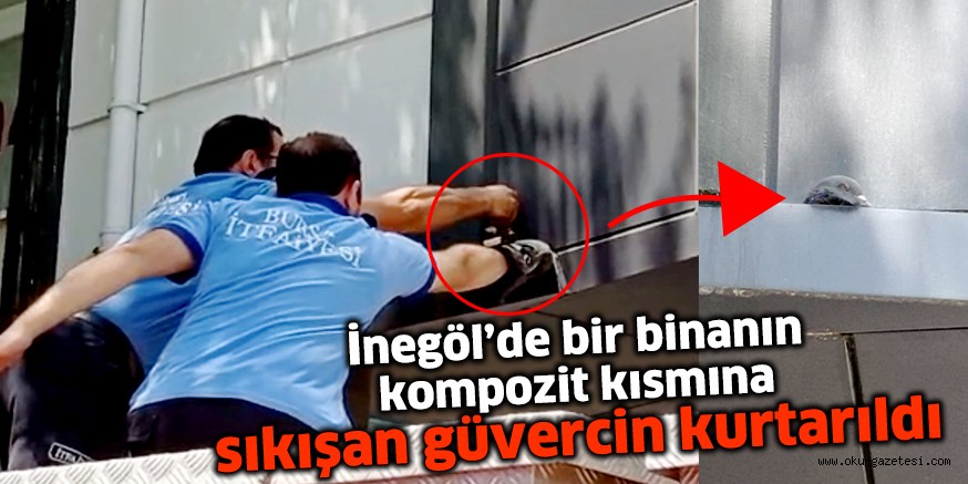 İnegöl’de bir binanın kompozit kısmına sıkışan güvercin kurtarıldı