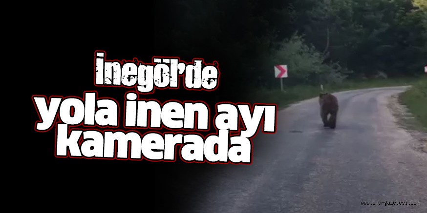 İnegöl’de yola inen ayı kamerada