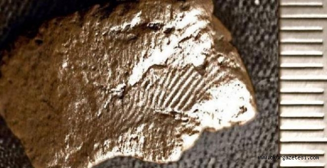 İskoçya’da 5 bin yıllık çömlekte parmak izi keşfedildi