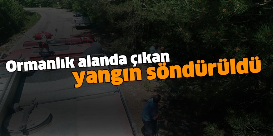 Ormanlık alanda çıkan yangın söndürüldü