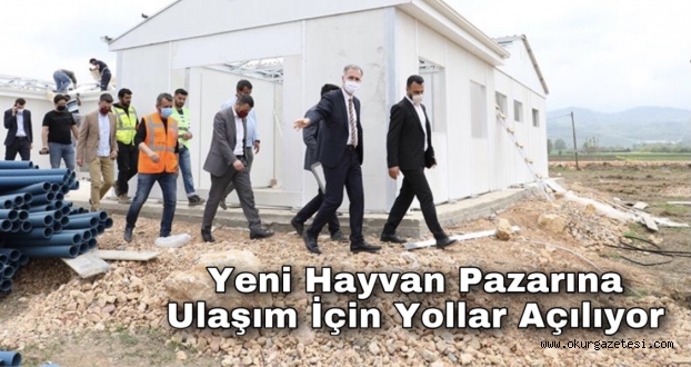 Yeni Hayvan Pazarına Ulaşım İçin Yollar Açılıyor