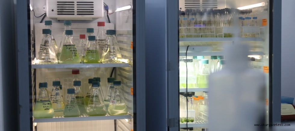 Çevre felaketi ekonomi için fırsat olabilir