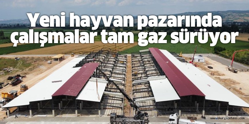 Hayvan pazarı için çalışmalar dört koldan devam ediyor