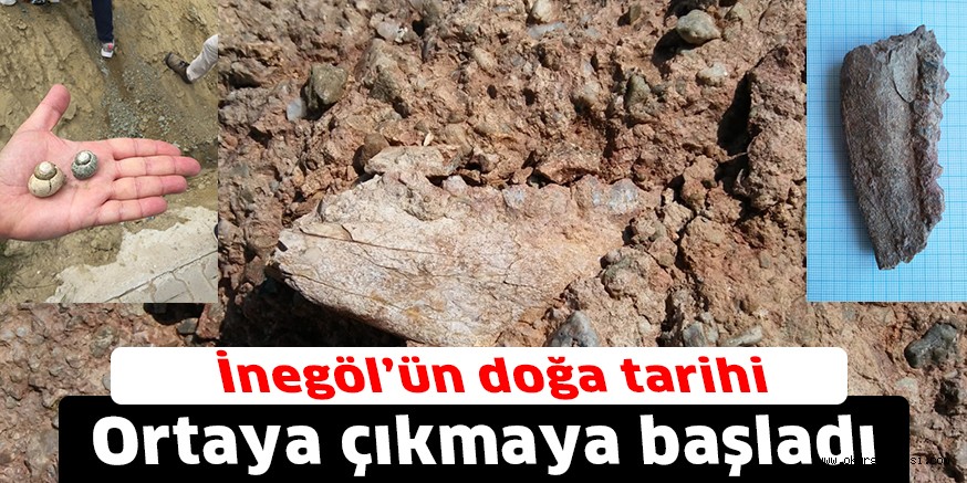İnegöl’ün doğa tarihi ortaya çıkmaya başladı