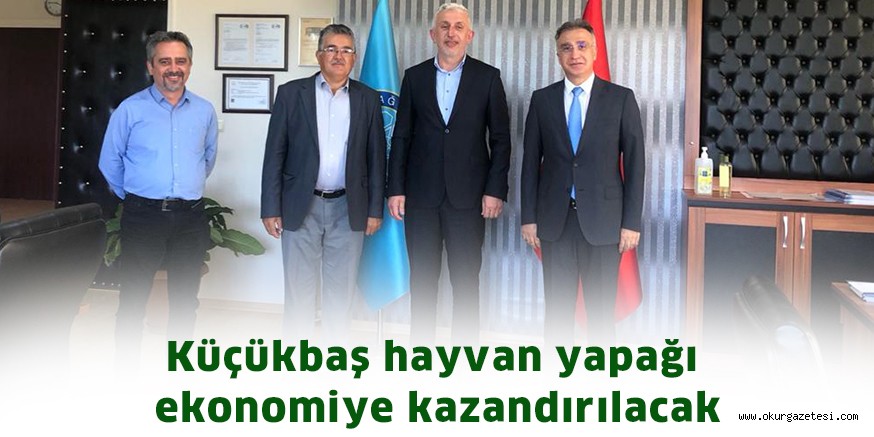 Küçükbaş hayvan yapağı ekonomiye kazandırılacak