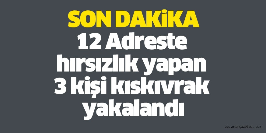 12 Adreste hırsızlık yapan  3 kişi kıskıvrak yakalandı