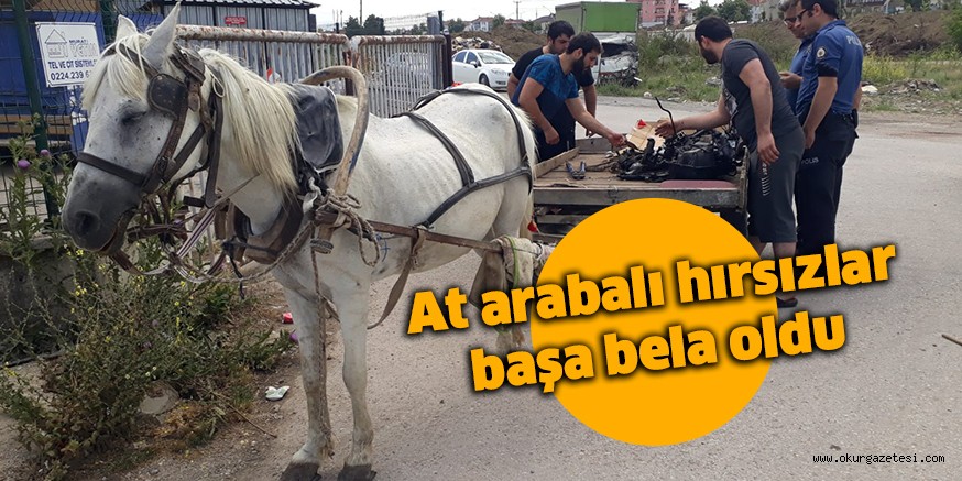 At arabalı hırsızlar başa bela oldu