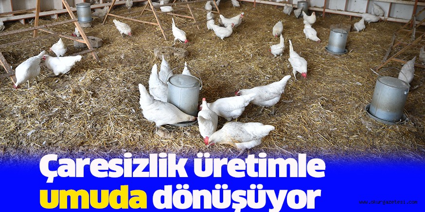 Çaresizlik üretimle umuda dönüşüyor