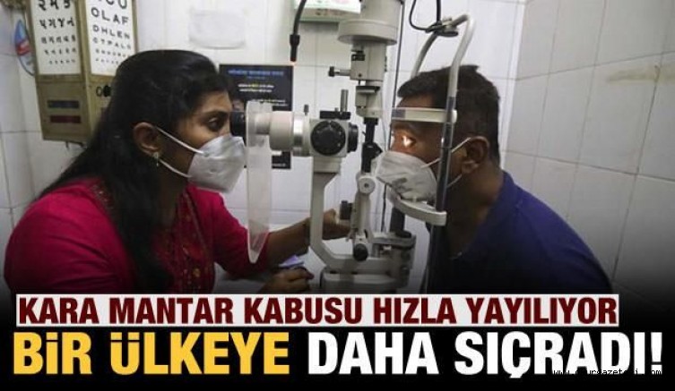 Kara mantar yayılıyor! Bir ülkeye daha sıçradı!