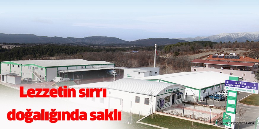 Lezzetin sırrı doğalığında saklı