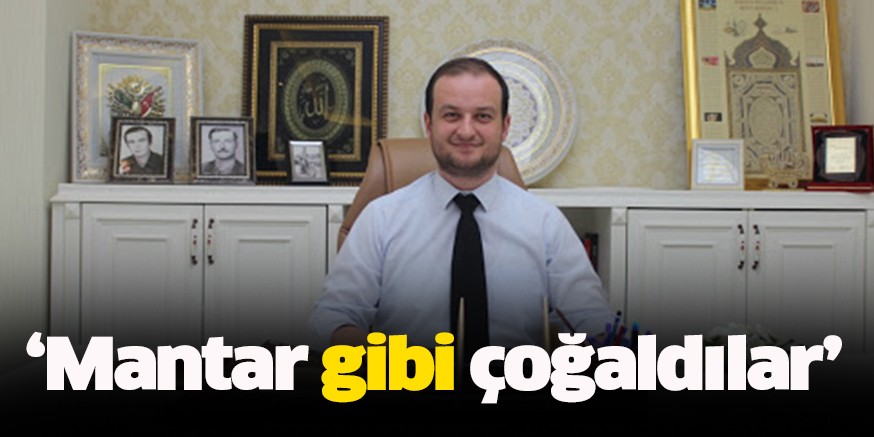 ‘Mantar gibi çoğaldılar’