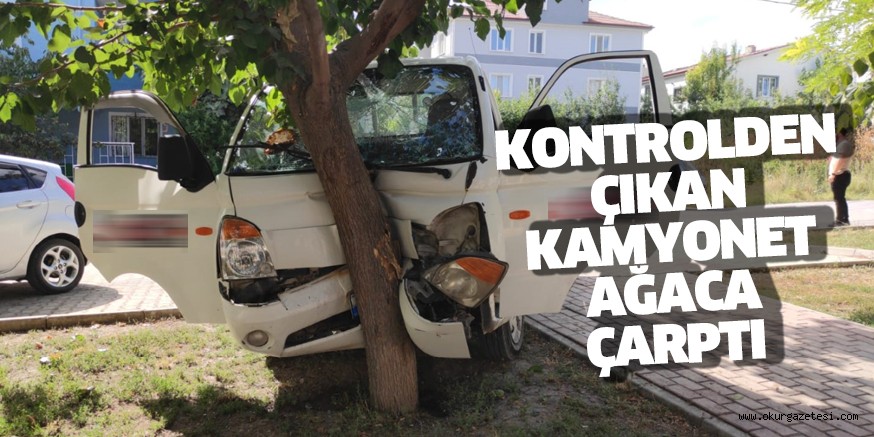 Ağaca çarpan kamyonetin sürücüsü yaralandı