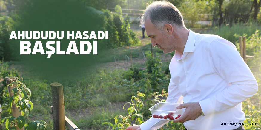 AHUDUDU HASADI BAŞLADI