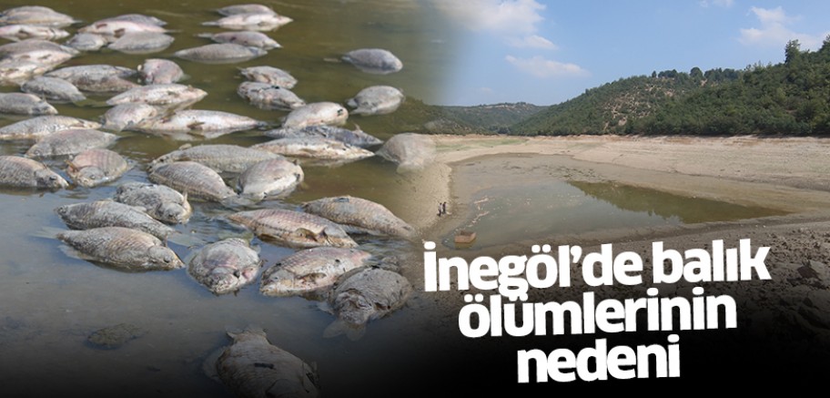 İnegöl’de balık ölümlerinin nedeni araştırılıyor