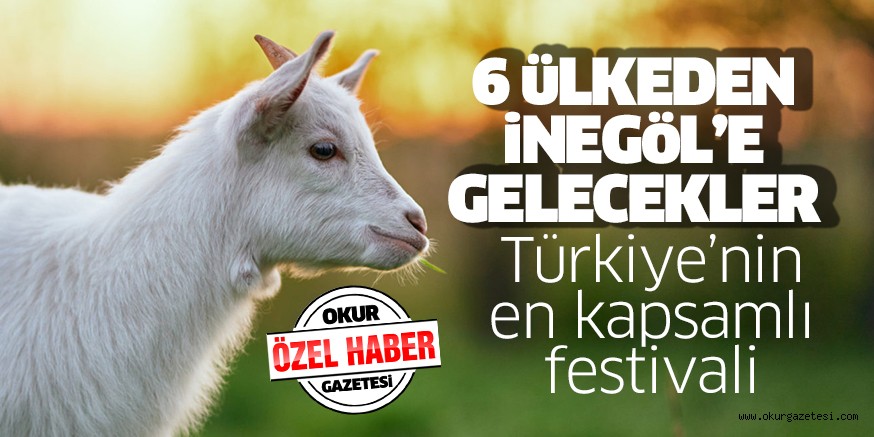 Türkiye’nin en kapsamlı festivali iNEGöL’DE GERÇEKLEŞTiRiLECEK