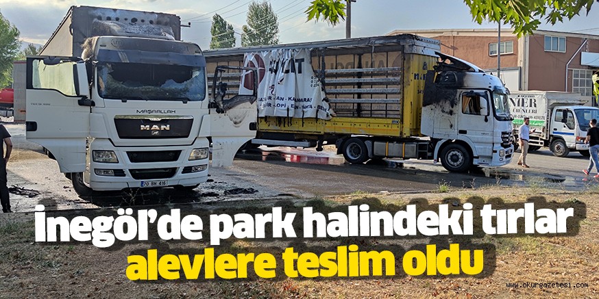 Ağaç İşleri Küçük Sanayi Sitesi’nde tırlar alevlere teslim oldu