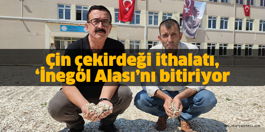 Çin çekirdeği ithalatı, ‘İnegöl Alası’nı bitiriyor