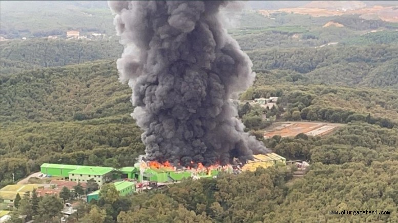 Fabrika cayır cayır yandı