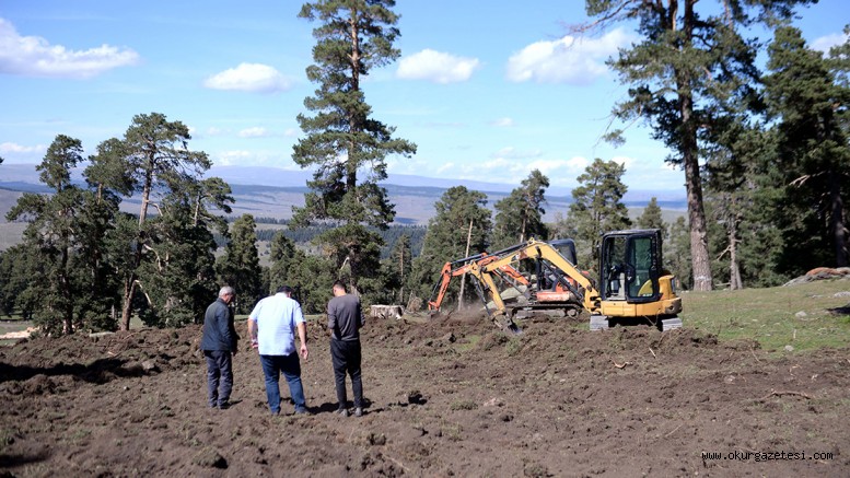 Geleceğe nefes olması için sarıçam ormanları gençleştiriliyor