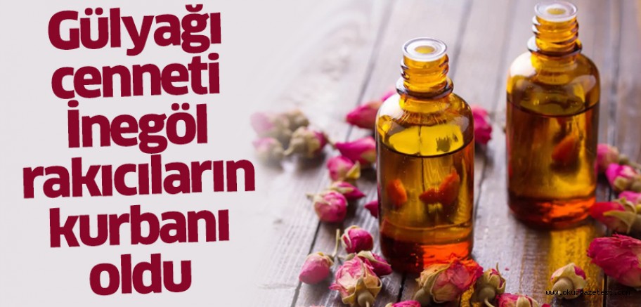 Gülyağı cenneti İnegöl rakıcıların kurbanı oldu