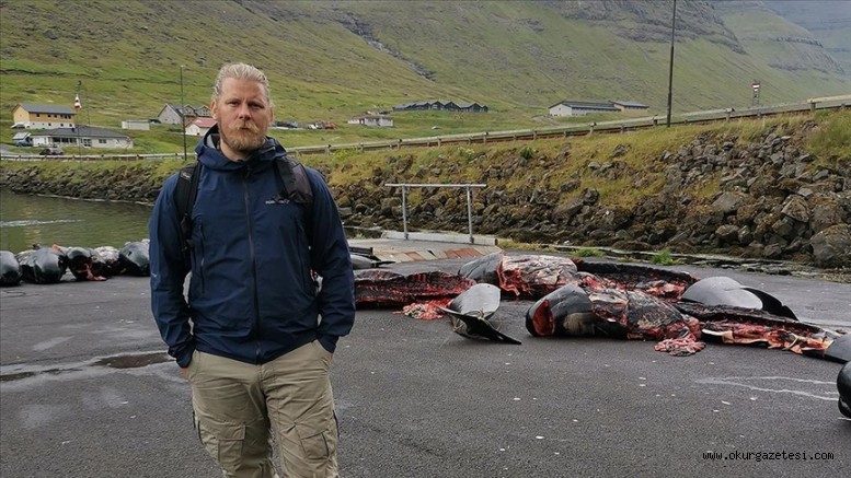 Hayvan hakları savunucusu, Faroe Adaları’ndaki tepki çeken yunus ve balina katliamını anlattı