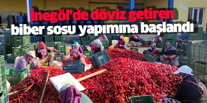 İnegöl’de 1 milyon dolar ihracat geliri olan acı biber sosu yapımı için çalışmalar başladı