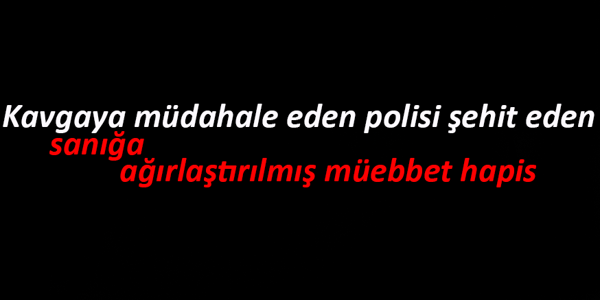 Kavgaya müdahale eden polisi şehit eden sanığa ağırlaştırılmış müebbet hapis