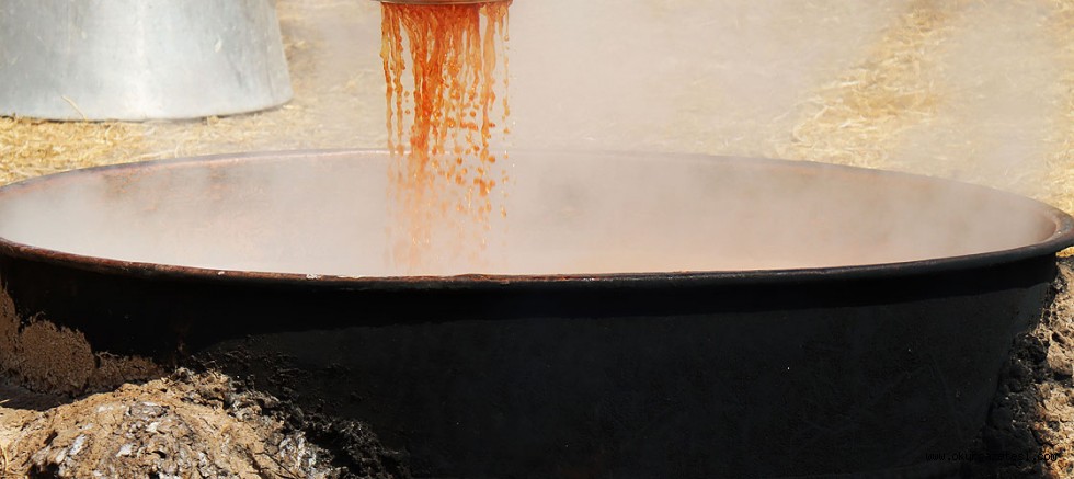 Kilis’in organik üzüm pekmezi için kazanlar kaynıyor