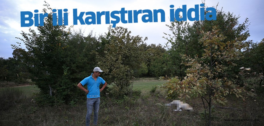 Kırklareli Valiliğinden, köpeği telef ettiği öne sürülen muhtara soruşturma