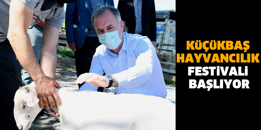 KüÇüKBAŞ HAYVANCILIK FESTiVALi BAŞLIYOR