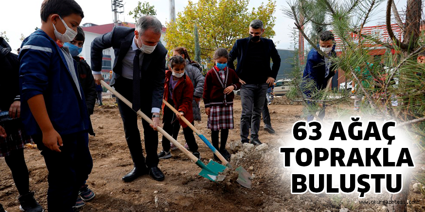 63 AĞAÇ TOPRAKLA BULUŞTU