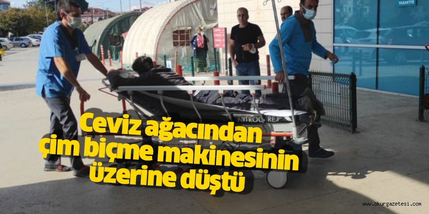Ceviz ağacından çim biçme makinesinin üzerine düşen kişi yaralandı