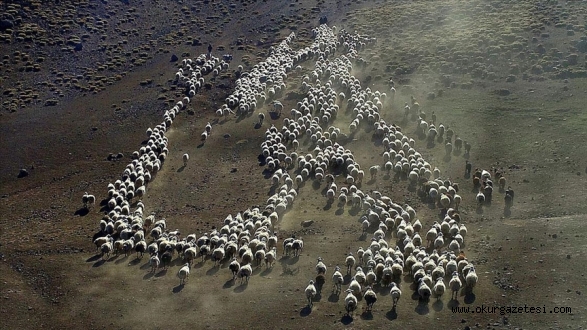 Göçerlerin günler sürecek zorlu dönüş yolculuğu başladı
