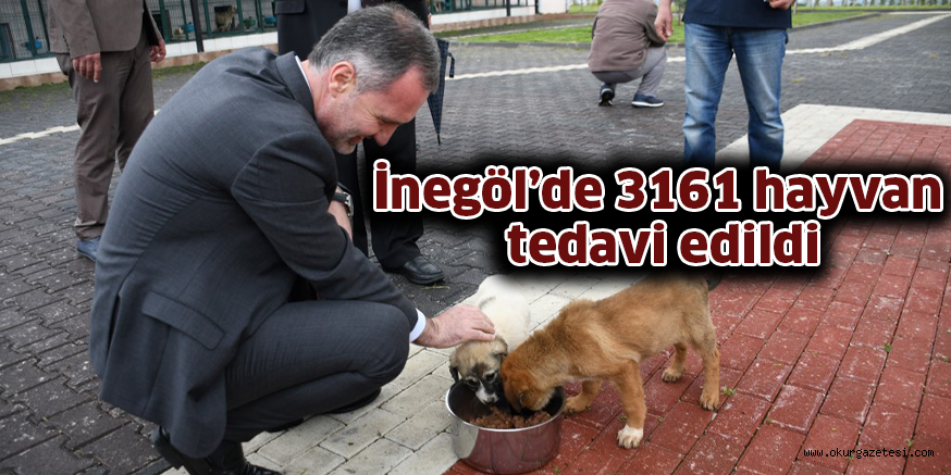 İnegöl’de 3161 hayvan tedavi edildi