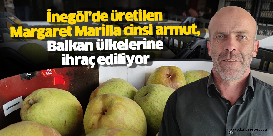 İnegöl’de üretilen Margaret Marilla cinsi armut, Balkan ülkelerine ihraç ediliyor