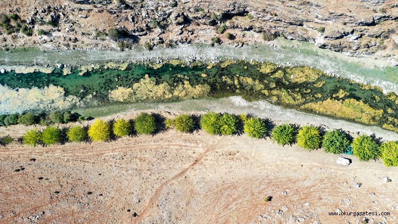 Yeşile olan tutkusu çorak araziyi 23 yılda yeşil kuşağa dönüştürdü