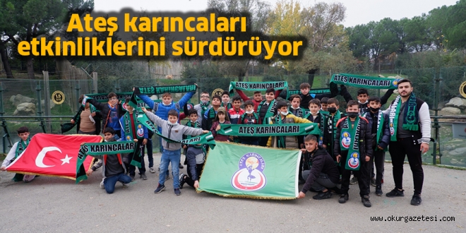 Ateş karıncaları etkinliklerini sürdürüyor