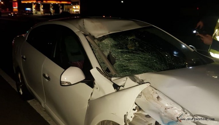 Balıkesir’de otomobilin çarptığı dede ve torunu yaşamını yitirdi