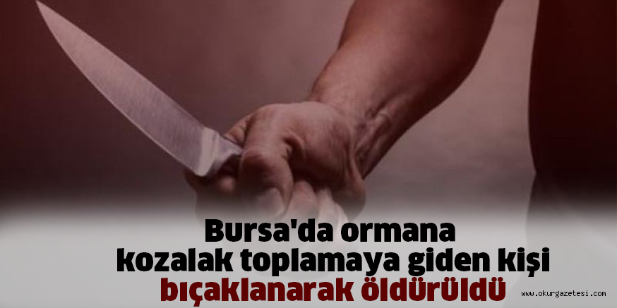 Bursa’da ormana kozalak toplamaya giden kişi bıçaklanarak öldürüldü