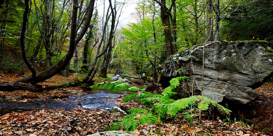 Bursa, Kasım’da başka güzel