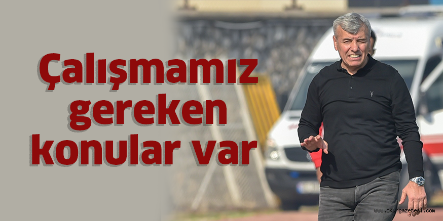Çalışmamız gereken konular var