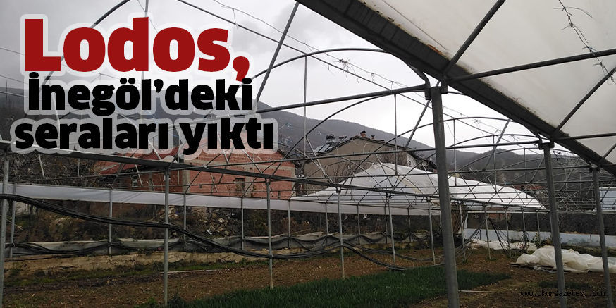 Lodos, İnegöl’deki seraları yıktı