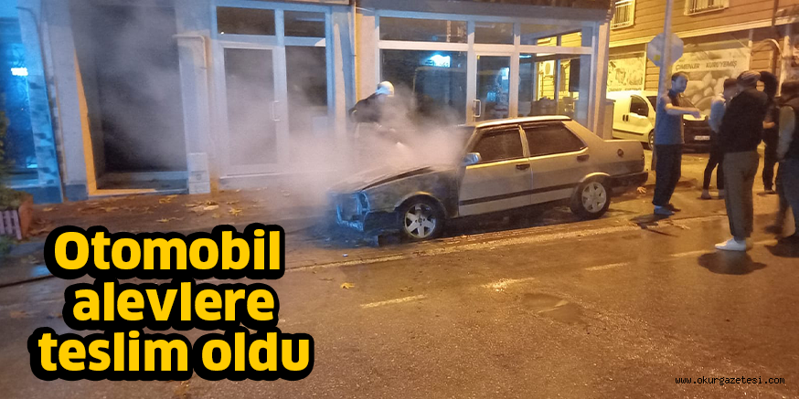 Otomobil alevlere teslim oldu